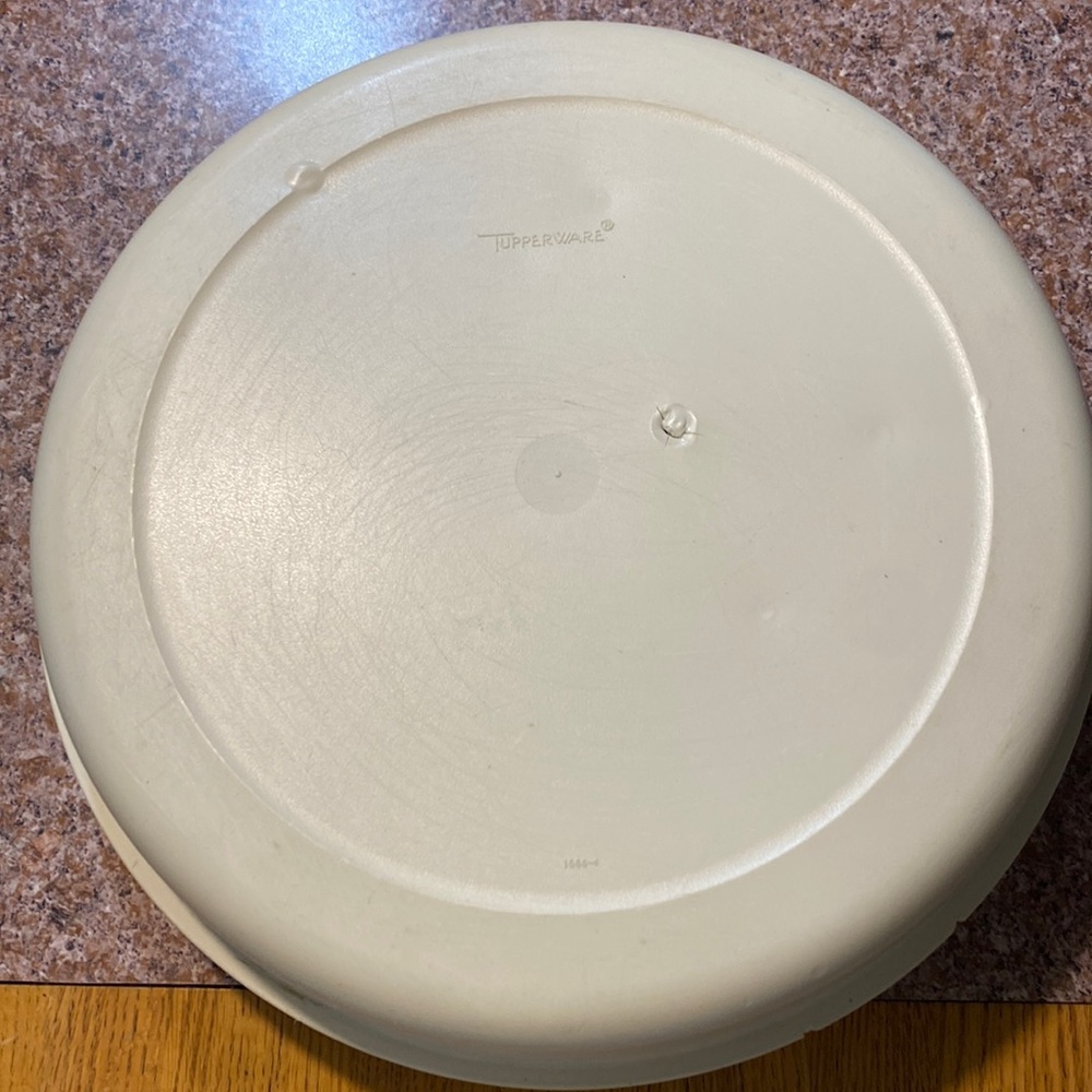 Vintag Tupperware veggie tray